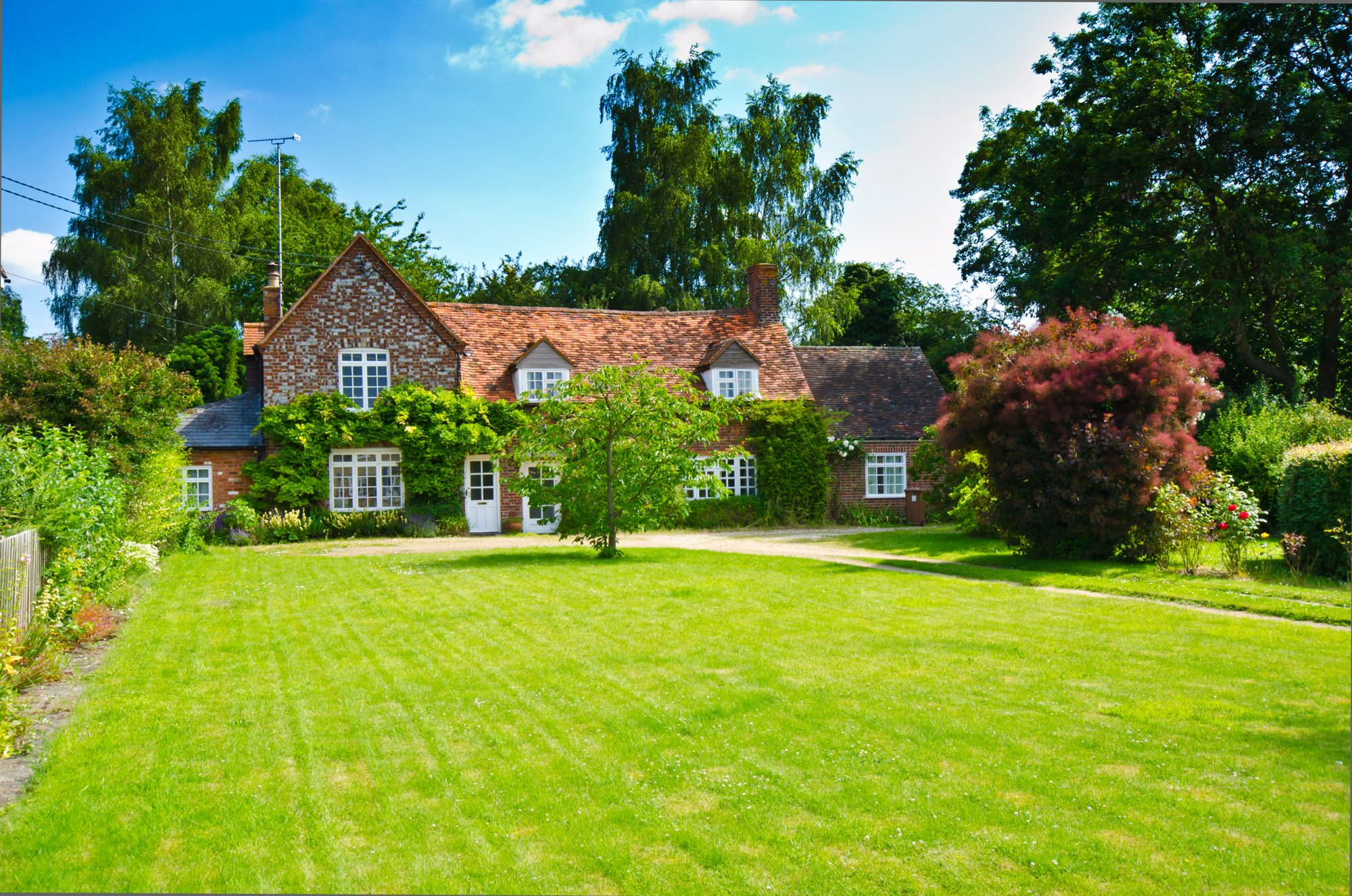 A beautifully maintained garden and lawn