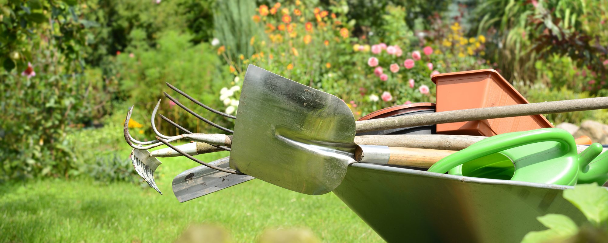 Garden tools and a wheelbarrow on a lawn